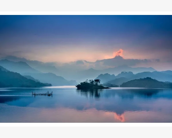 中药与方剂：中医瑰宝的智慧结晶
