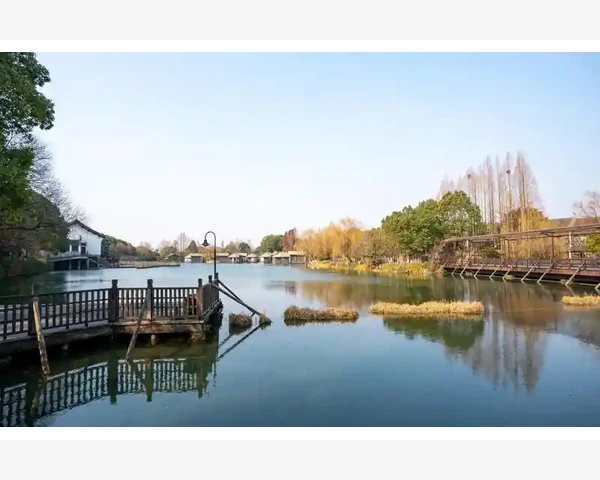 去脾胃寒的食谱推荐与中医养生知识