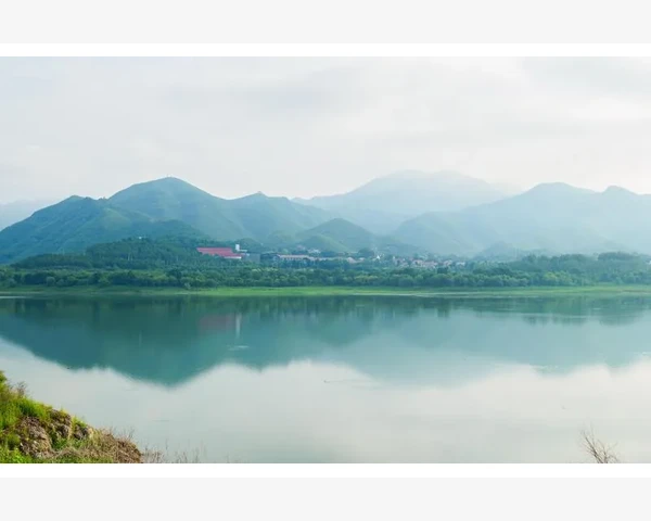 中草食疗：驱寒湿秘籍